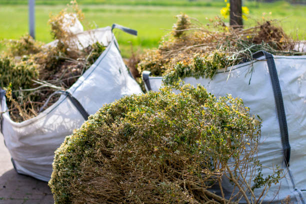 Best Full-Service Junk Removal  in Waimanalo Beach, HI