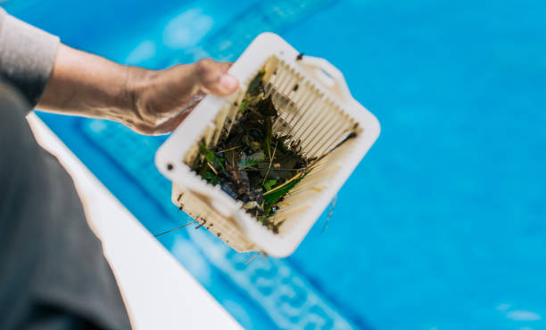 Best Estate Cleanout Services  in Waimanalo Beach, HI